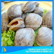 Sabroso congelado abundante al por mayor surf clam precio razonable